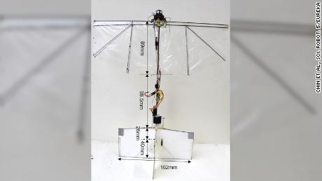 Meet the flying robot that can glide, flip and hover