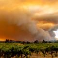 08 cali fires 0822