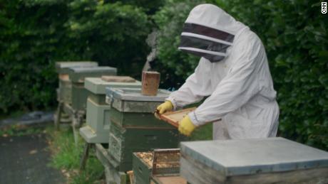 Beekeeper Simon Lynch uses a smart sensor device made by ApisProtect in his hives.