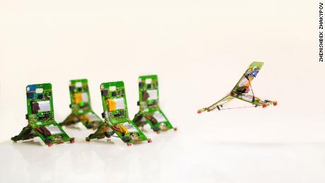 Insect-inspired robots that can jump, fly and climb are almost here