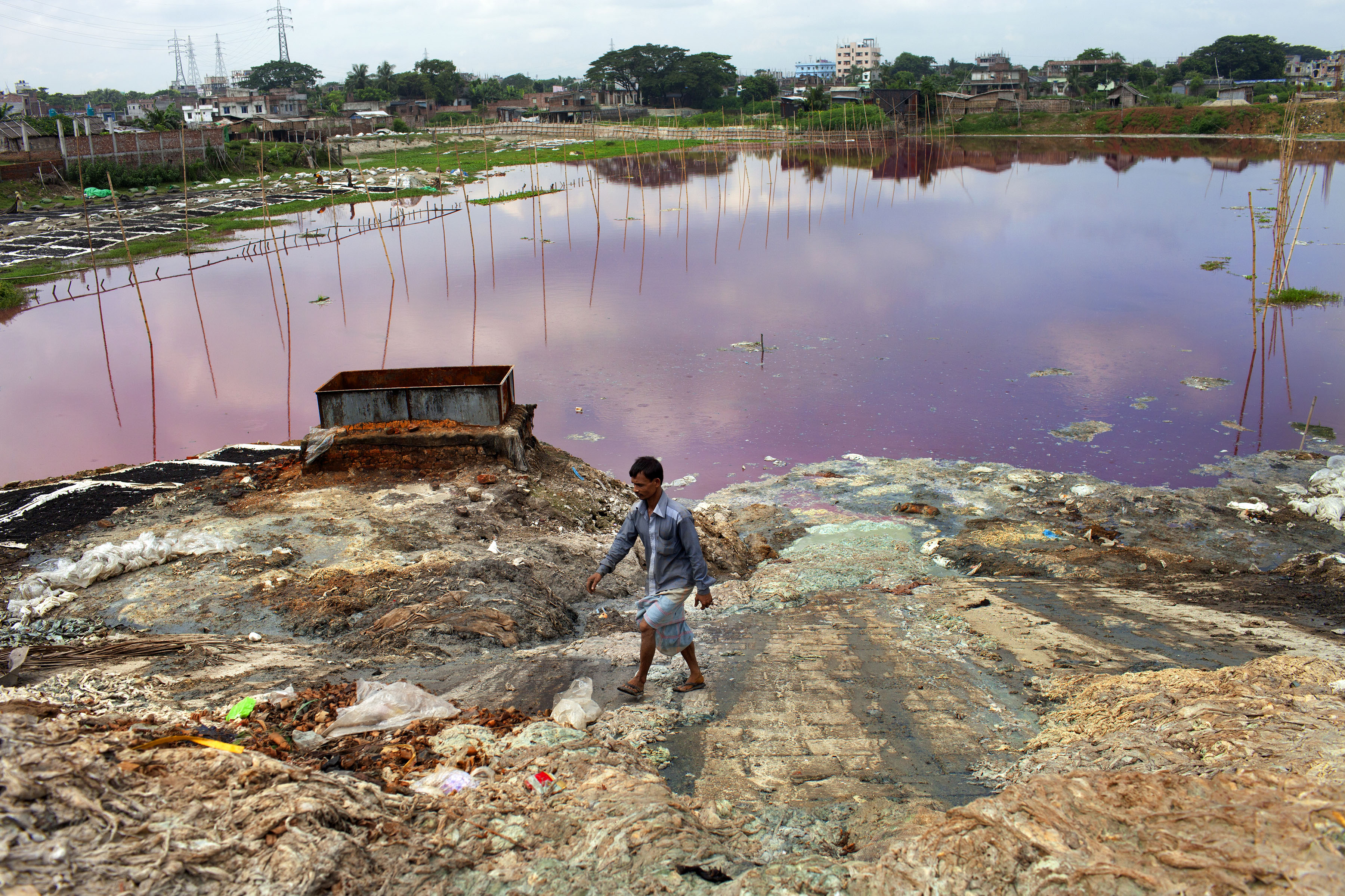 water pollution effects on plants