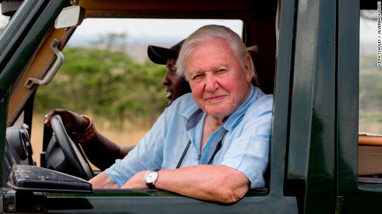 David Attenborough offers his 'witness statement,' and a warning, in 'A Life on Our Planet'