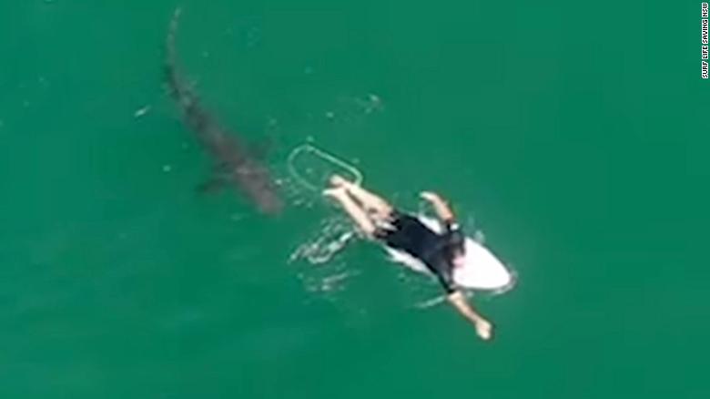This surfer had no idea how close he came to a shark -- until he saw the drone footage