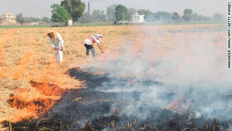 Indische Bauern verbrennen am 17. Oktober am Stadtrand von Amritsar Strohstoppeln.