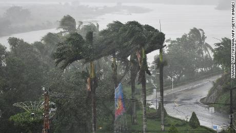 Strong winds batter coconut trees in central Vietnam on Wednesday.