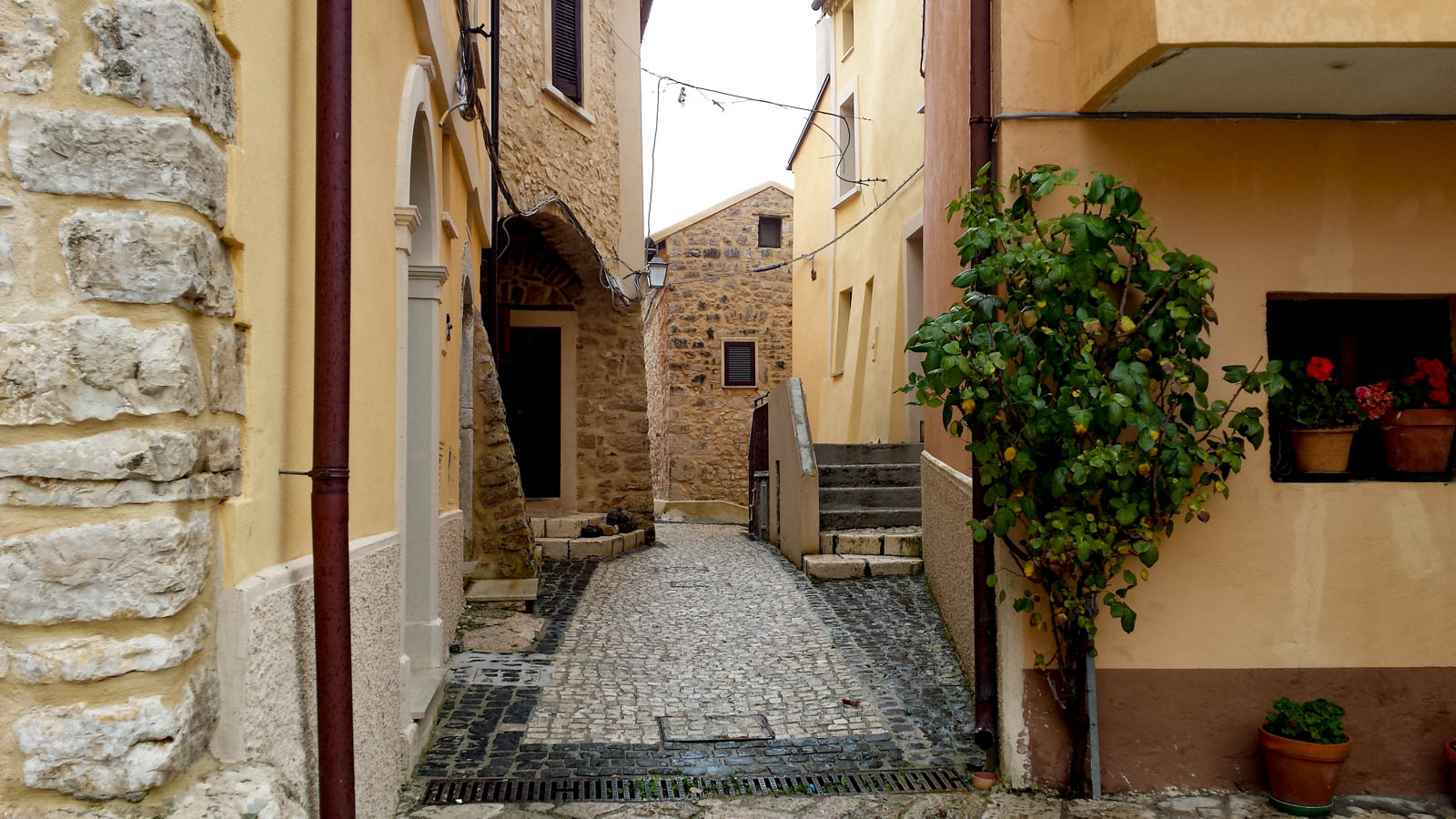 Italian Aged Taken in Alley