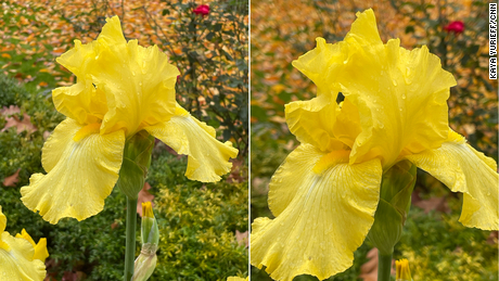These photos taken from the same vantage point, show the Pro Max (right) has a tighter 2.5x zoom. 