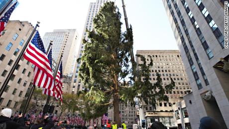 The Rockefeller Center Christmas Tree arrives at Rockefeller Plaza and is craned into place on November 14, 2020 ニューヨーク市で.