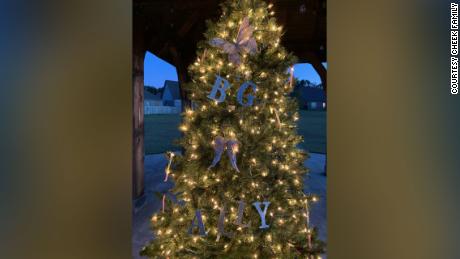 Morgan Cheek, mother of twins Ally and Bailey Grace, said the early Christmas lights have been a source of literal light in a dark time. 