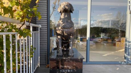 Founded in 2016, the China Dalian Guide Dog Training Center China&#39;s first such facility.