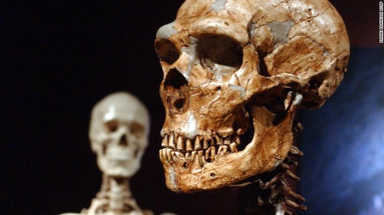 How Neanderthal DNA affects human health -- including the risk of getting Covid-19