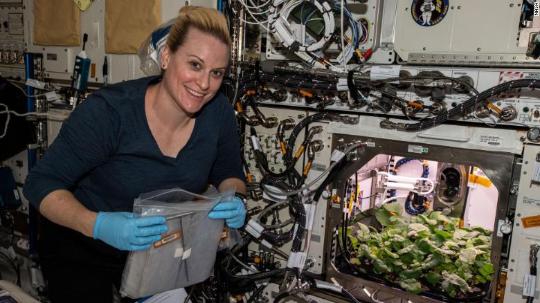 Astronauts harvest radishes grown aboard the International Space Station