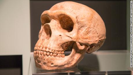 Hoe Neanderdal DNA beïnvloed die gesondheid van die mens -- insluitend die risiko om Covid-19 te kry