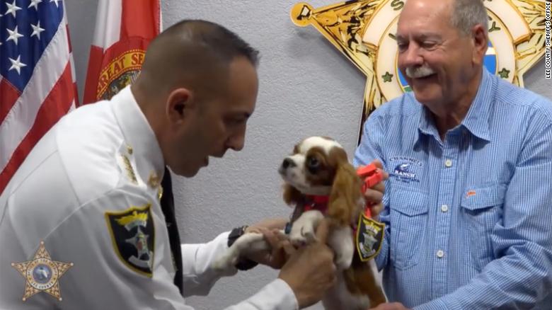 A puppy rescued from the jaws of alligator has been honored as a 'Deputy Dog'