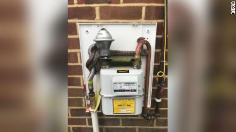 A gas worker got a slithery surprise when attempting to read the meter.