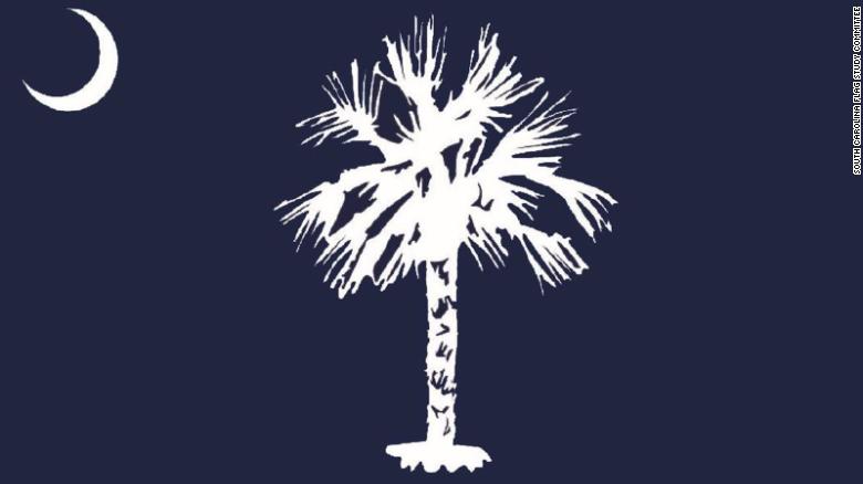 住民がパルメットの木をからかった後、再設計されたサウスカロライナの旗は廃棄されました