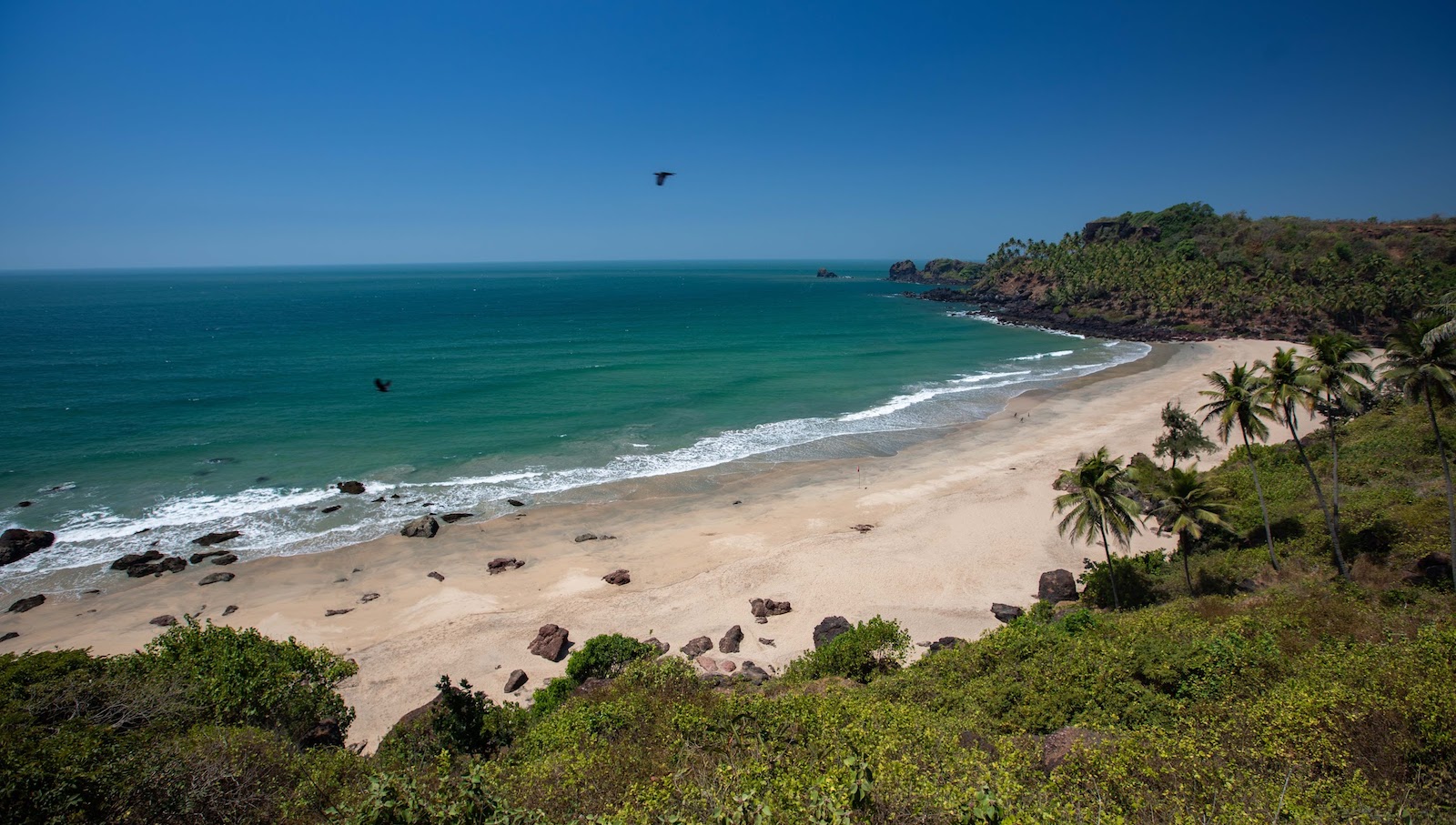 Goa Attractions In January - Spesanut