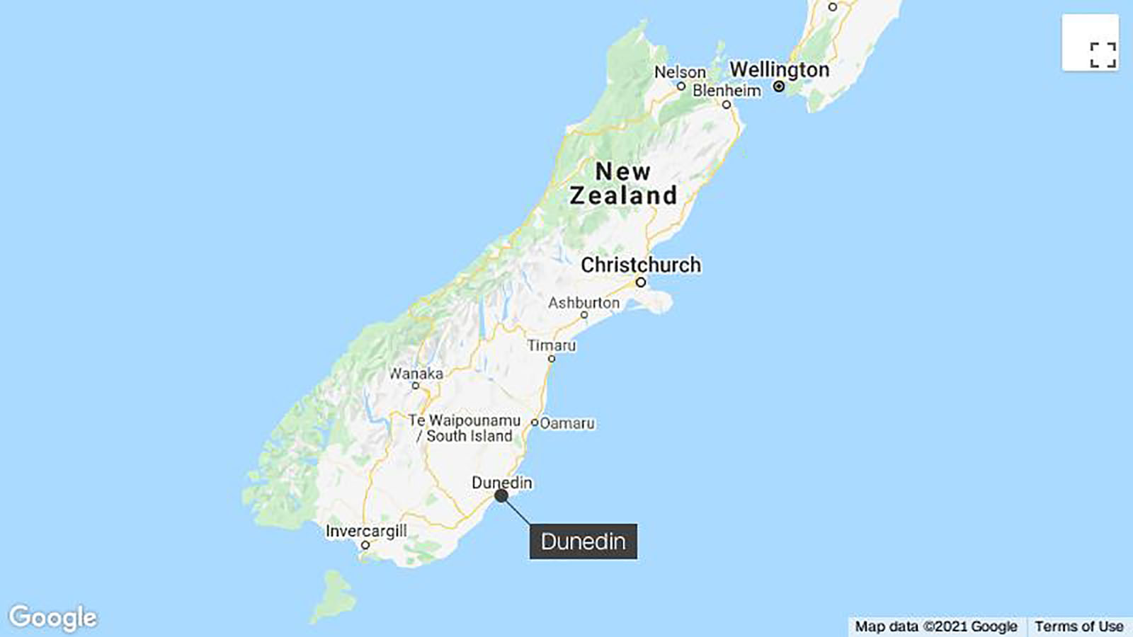 Map Of Dunedin And Surrounding Area New Zealand Closes Road For A Month To Let Sea Lions Nest Safely | Cnn  Travel