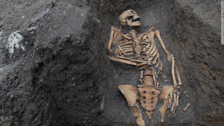 Medieval bones tell a stark tale of hard work and physical trauma