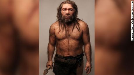Prehistoric teeth hint at Stone Age sex with Neanderthals