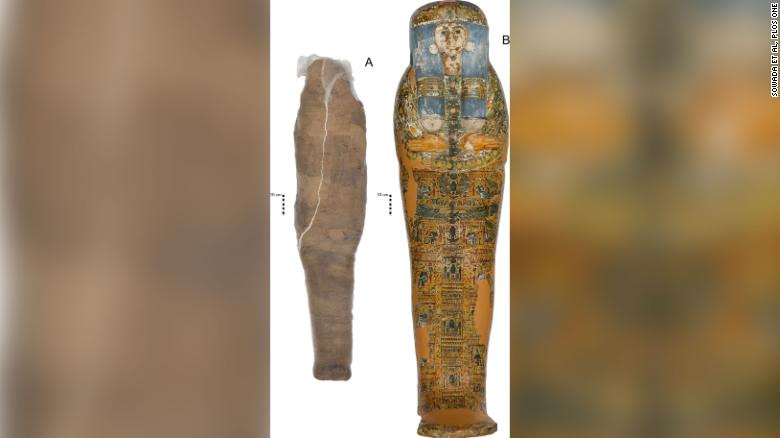 In a case of potential mistaken mummy identity, scientists uncover clues