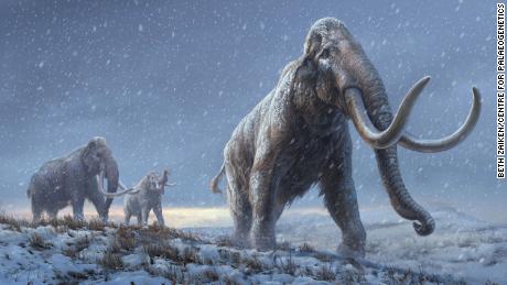 Wêreld&#39;s oldest DNA sequenced from a mammoth that lived more than a million years ago