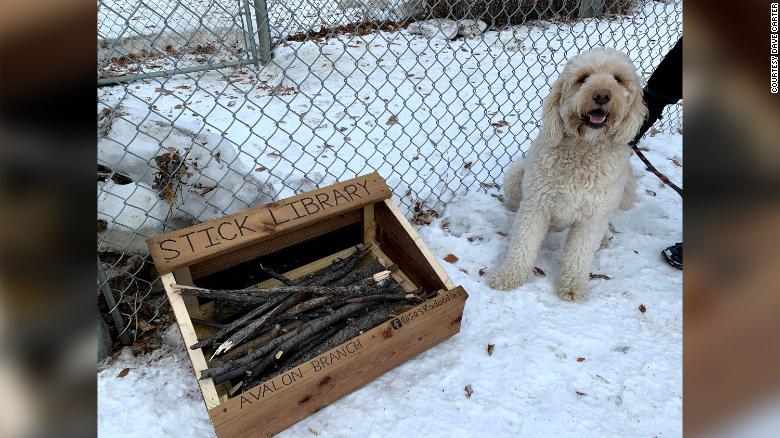 Innovative 10-year-old creates 'stick library' for local dogs
