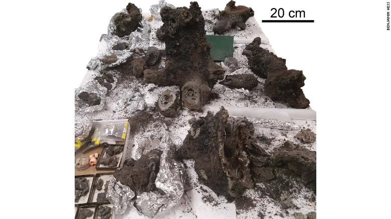 These are pieces of fulgurite analyzed in the study.