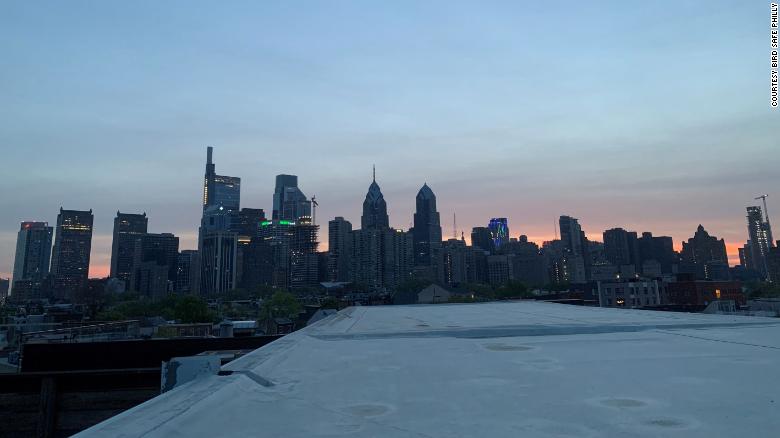 Philadelphia has dimmed its skyline after a 'mass collision' killed thousands of migrating birds