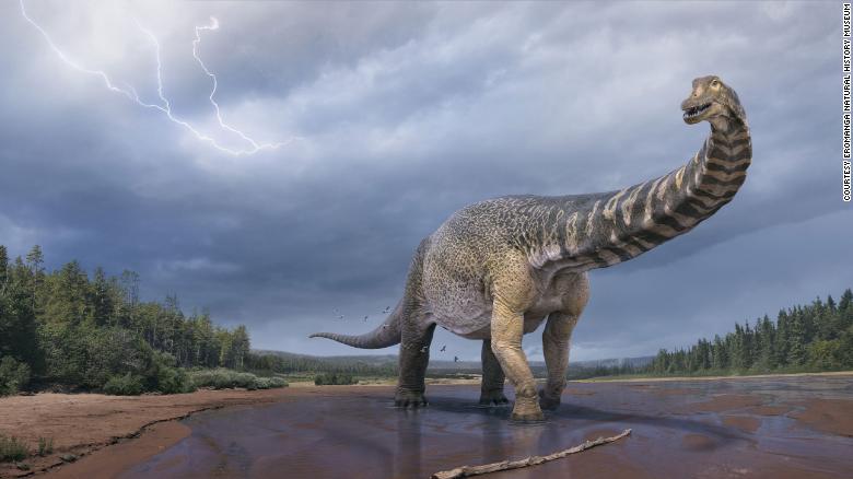 Scientists confirm discovery of Australia's largest dinosaur, two stories tall and a basketball court long