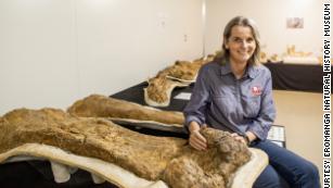 Le plus grand dinosaure d Australie Cooper était un titanosaure à