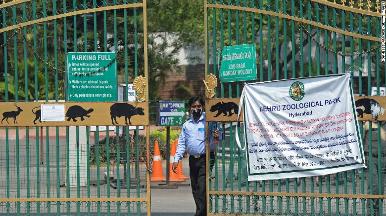 India closes all tiger reserves after Covid outbreaks in zoos
