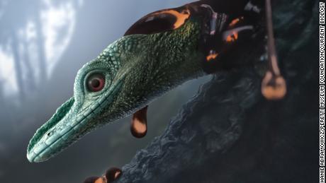 Oculudentavis naga, depicted in this artist&#39;s impression, is a bizarre lizard that research initially categorized as a tiny, birdlike dinosaur. 
