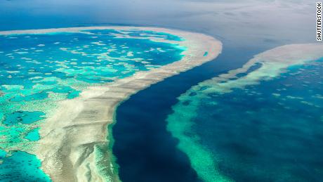 The Great Barrier Reef is in &#39;danger,&#39; UN says. Australia disagrees