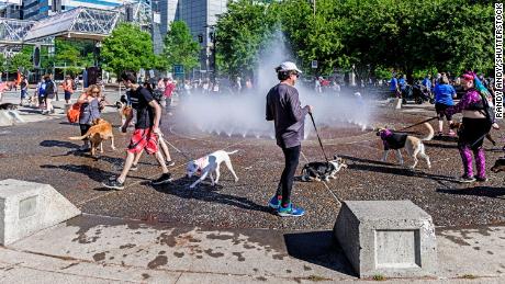 People and pets cool off at a spray park in Portland.