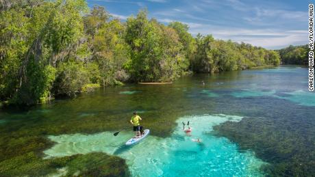 The Florida Wildlife Corridor is nearly 18 million acres of natural wonder. The state just took a significant step to keep it alive