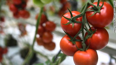 Tomatoes are the perfect no-cook food for a heat wave