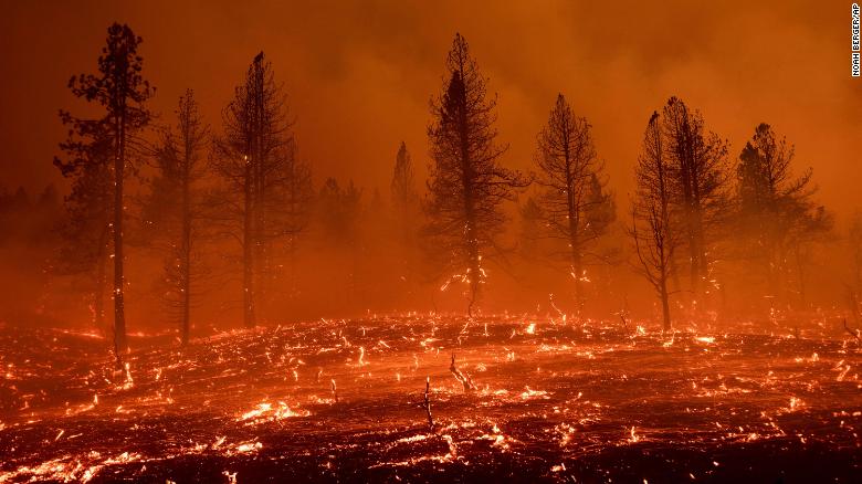 Western wildfires have burned an area 4 times the size of NYC. Here are some key fires