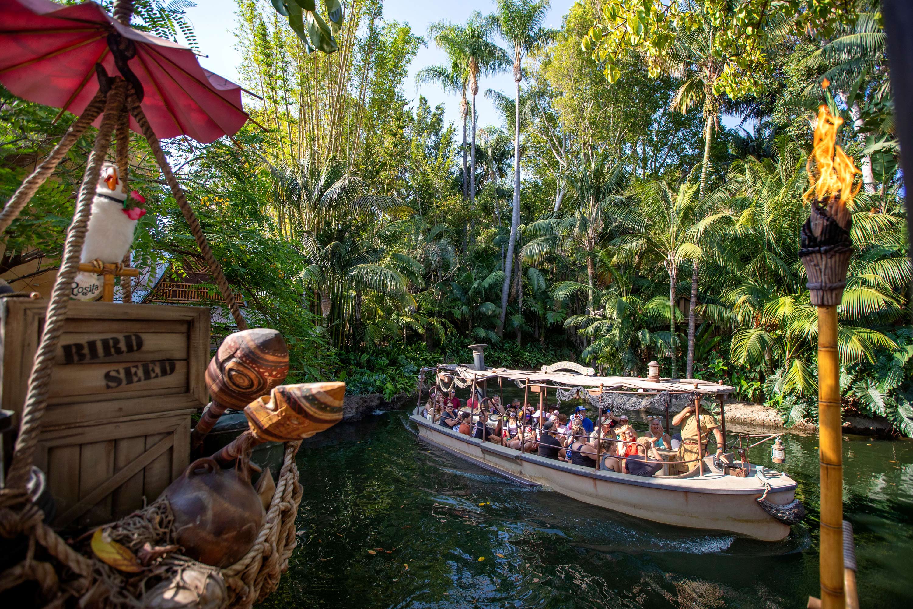 Jungle cruise