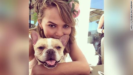 Chrissy Teigen lamenta a morte de sua amada cadela Pippa