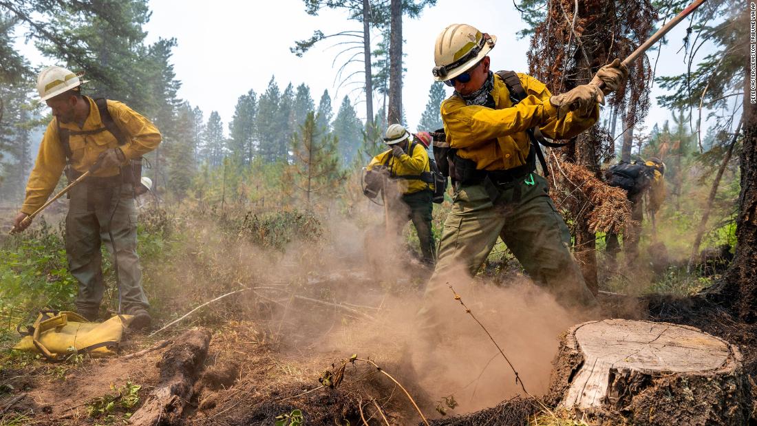 Firefighters dig away at hot spots underneath stumps and brush after flames from the Snake River Complex Fire swept through the area south of Lewiston, Idaho, op Julie 15.