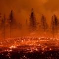 16 western wildfires