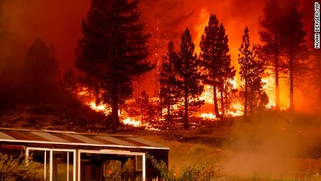 Antes que o fogo se transformasse em uma chama descontrolada, o Serviço Florestal decidiu deixá-lo queimar