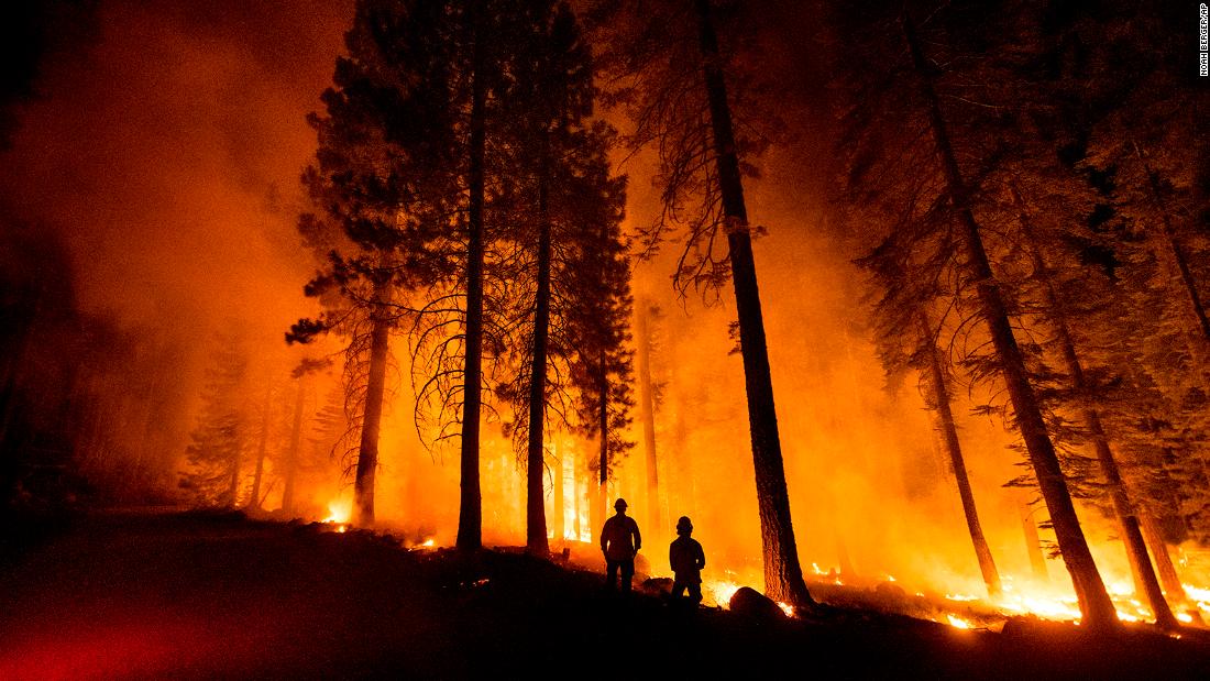 Cal Fire Capts. Tristan Gale, 剩下, and Derek Leong monitor a firing operation in California&#39;s Lassen National Forest on July 26. Crews had set a ground fire to stop the Dixie Fire from spreading.