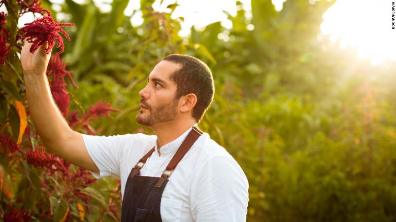 'Plants are our allies': Chef Rodrigo Pacheco on climate-proofing food