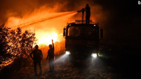 'Os animais estão pegando fogo', dizem os fazendeiros devastados enquanto os incêndios engolfam a Turquia
