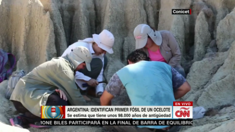 argentina descubren especie fosil cnn primera_00003021.png