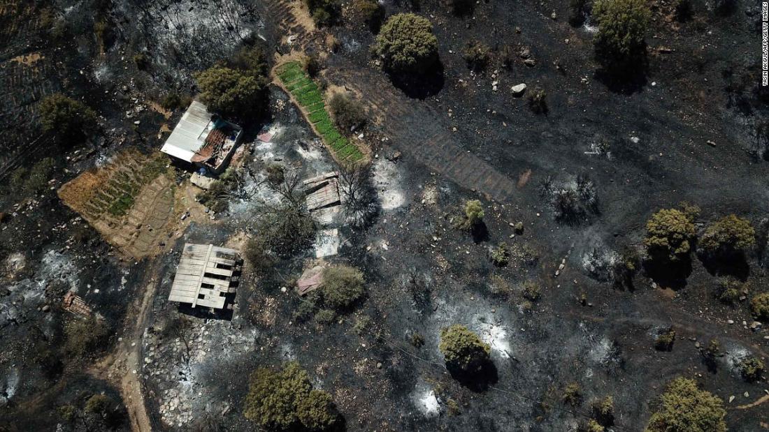 A charred area of Mugla, 火鸡, after a forest fire on August 3.