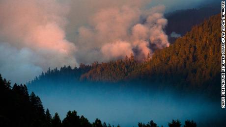 Penas de fumaça sobem do Fogo Kwis perto de Eugene, Oregon, em 10 de agosto de 2021.