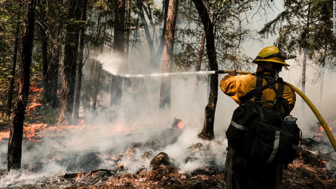 Un bombero trabaja para extinguir una quemadura controlada, una medida preventiva, para proteger una casa en Greenville, California, en Agosto 9.